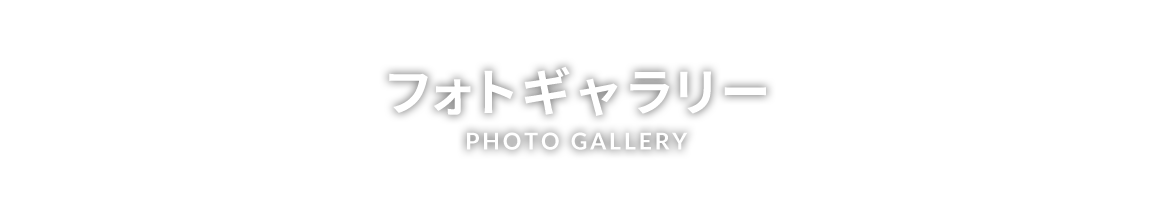 フォトギャラリー